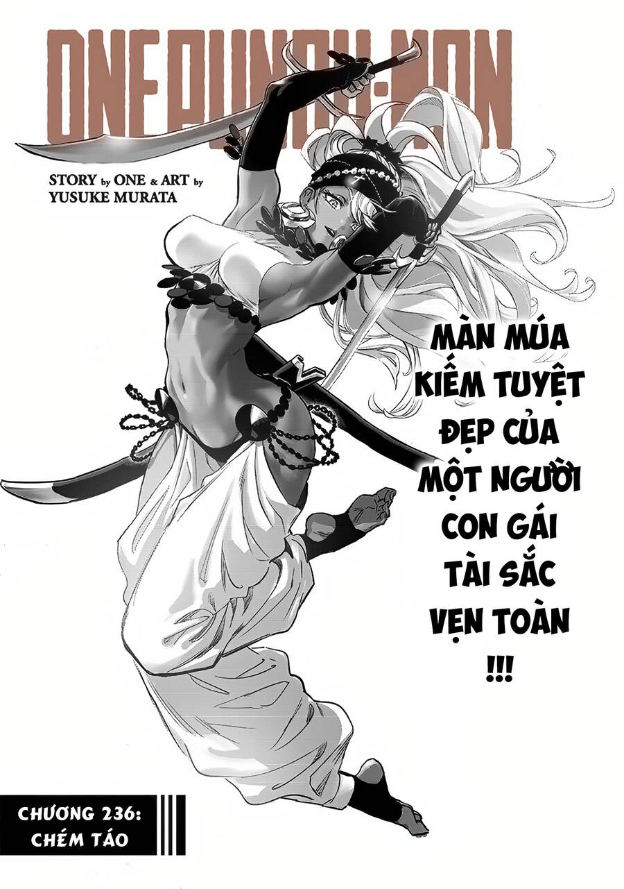 Chương 236