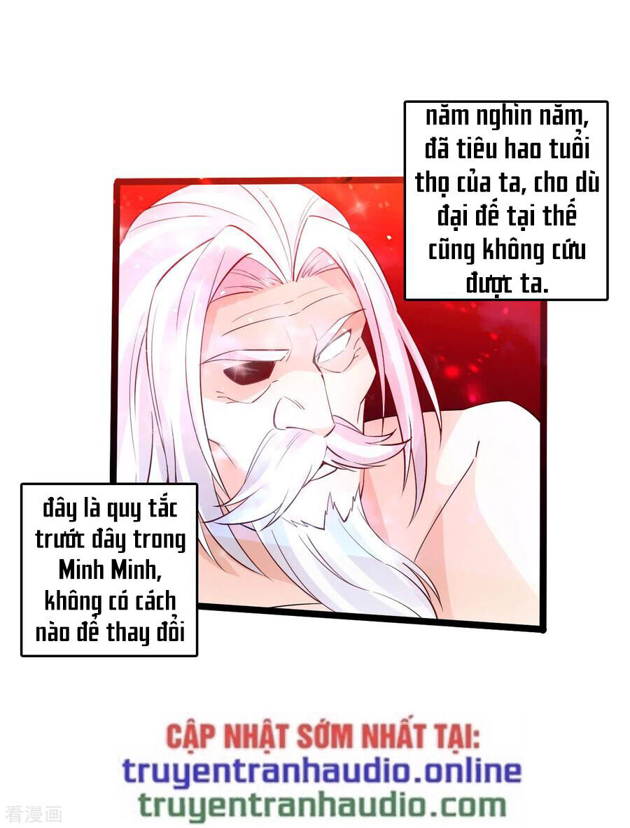 Chương 116