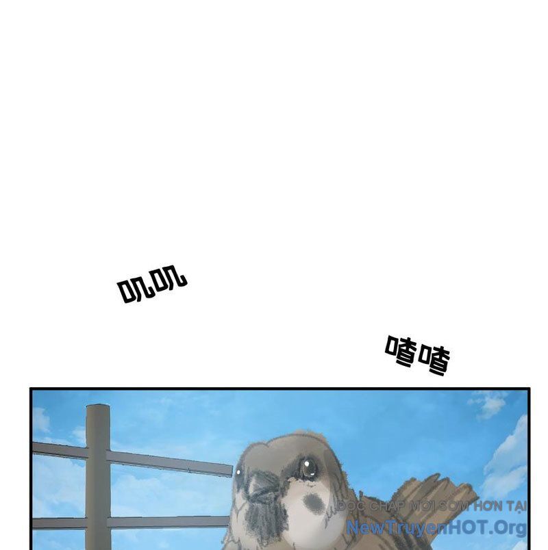 Chương 432