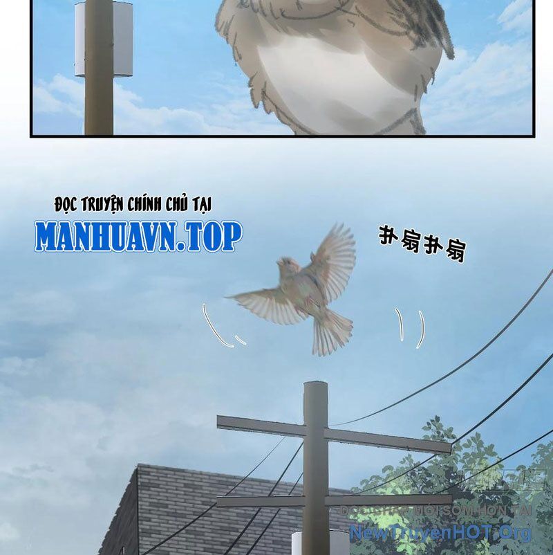 Chương 432