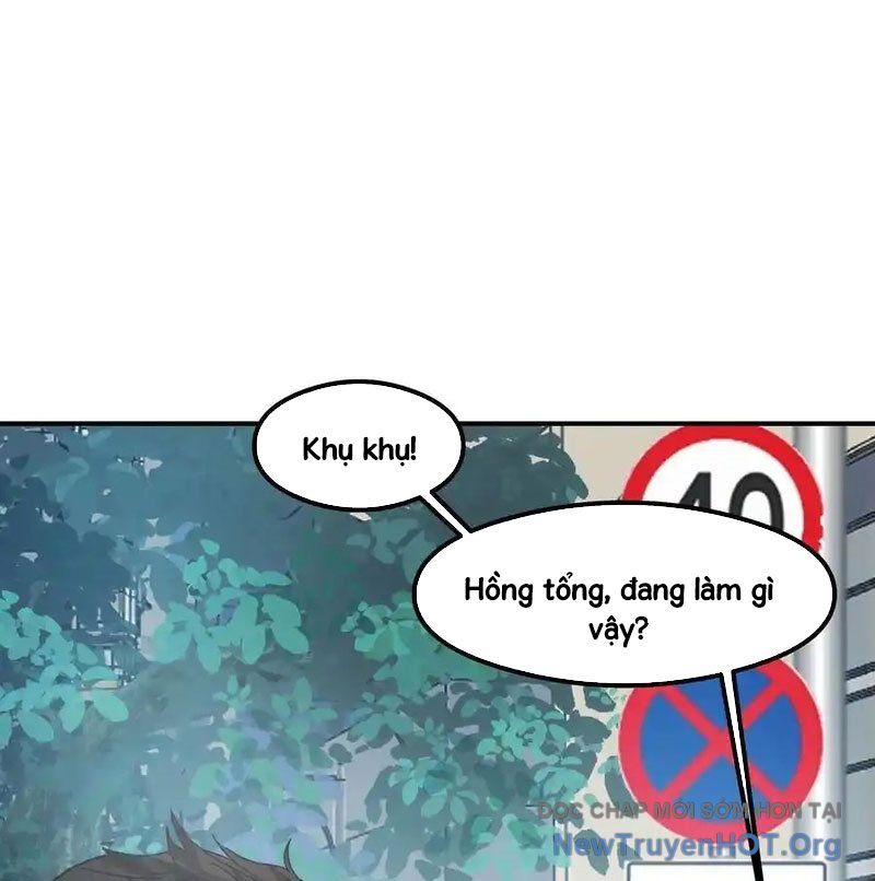 Chương 436