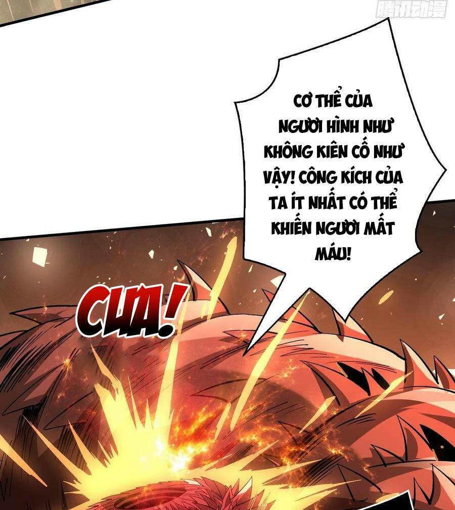 Chương 146