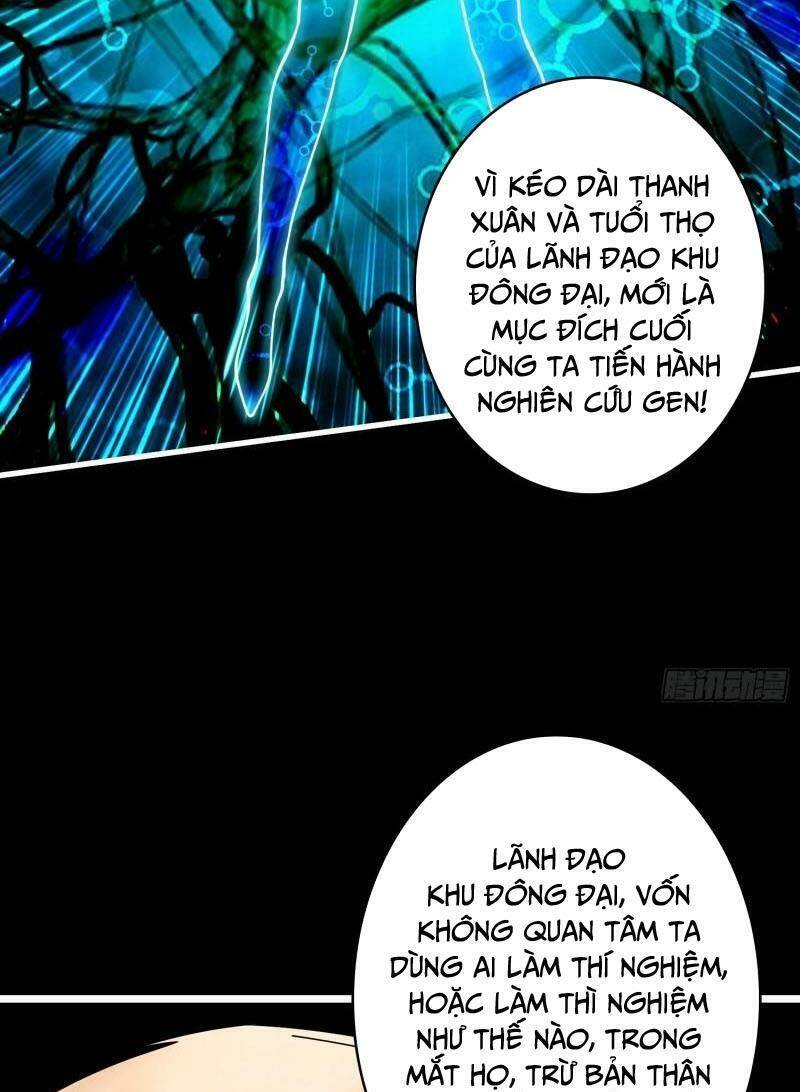 Chương 330