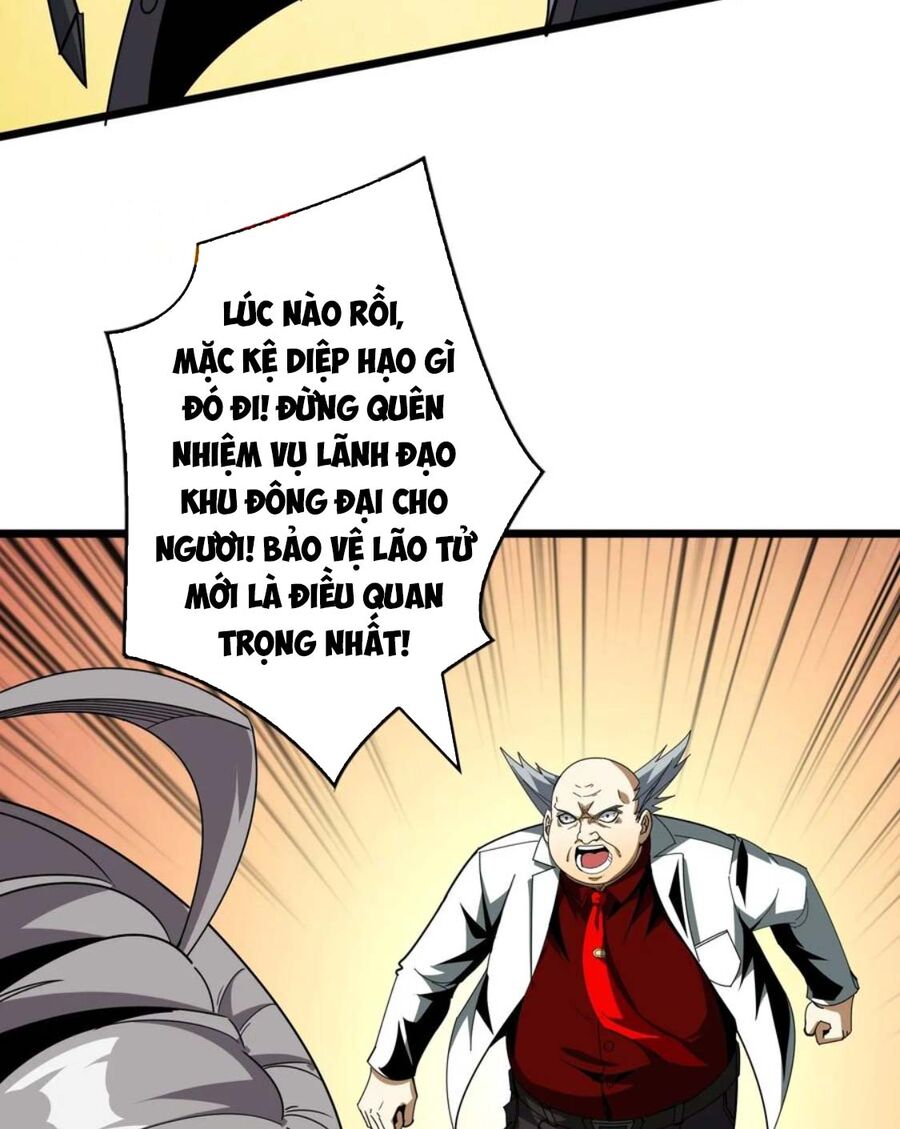 Chương 331