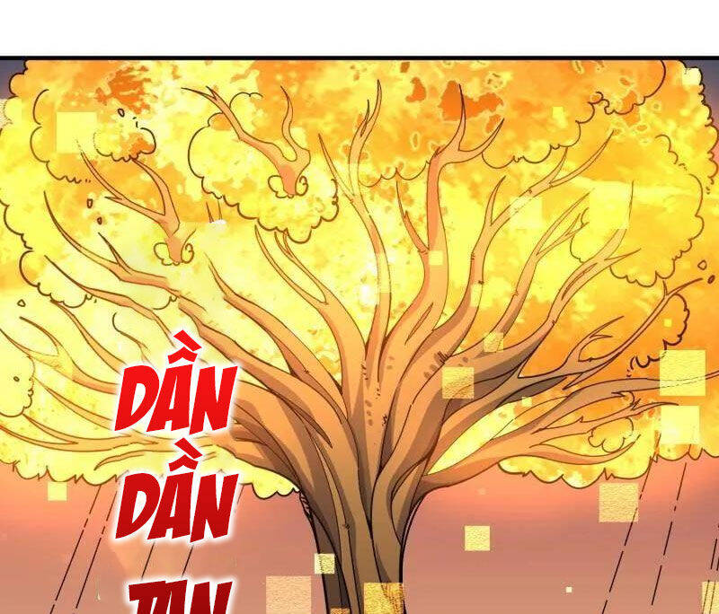 Chương 482