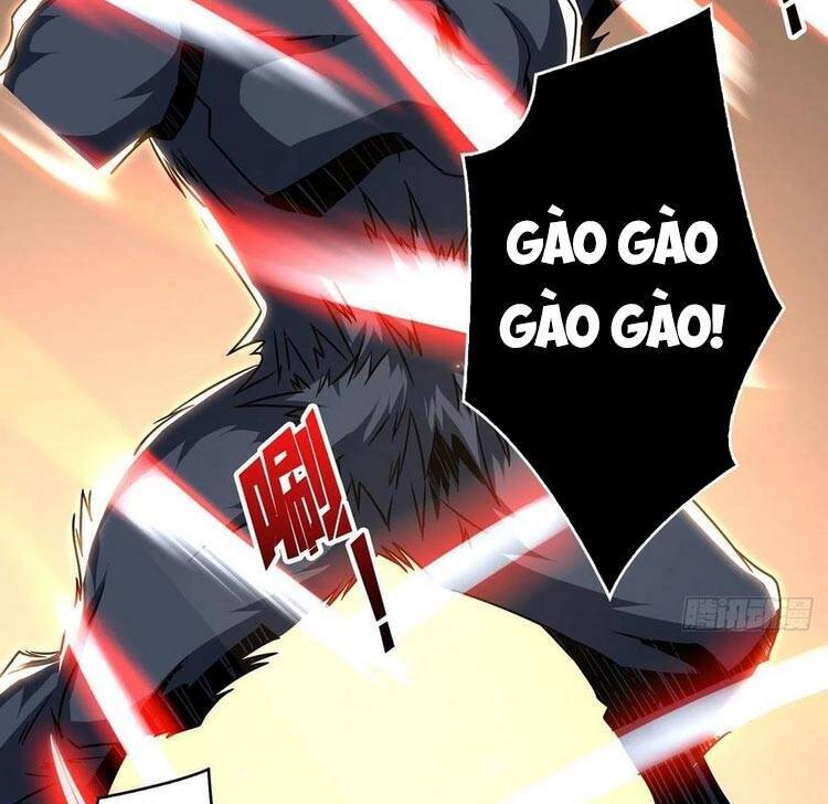 Chương 49