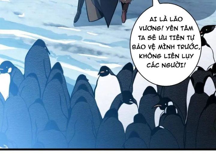 Chương 528