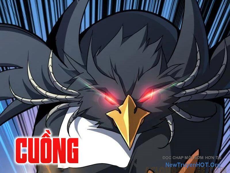 Chương 529