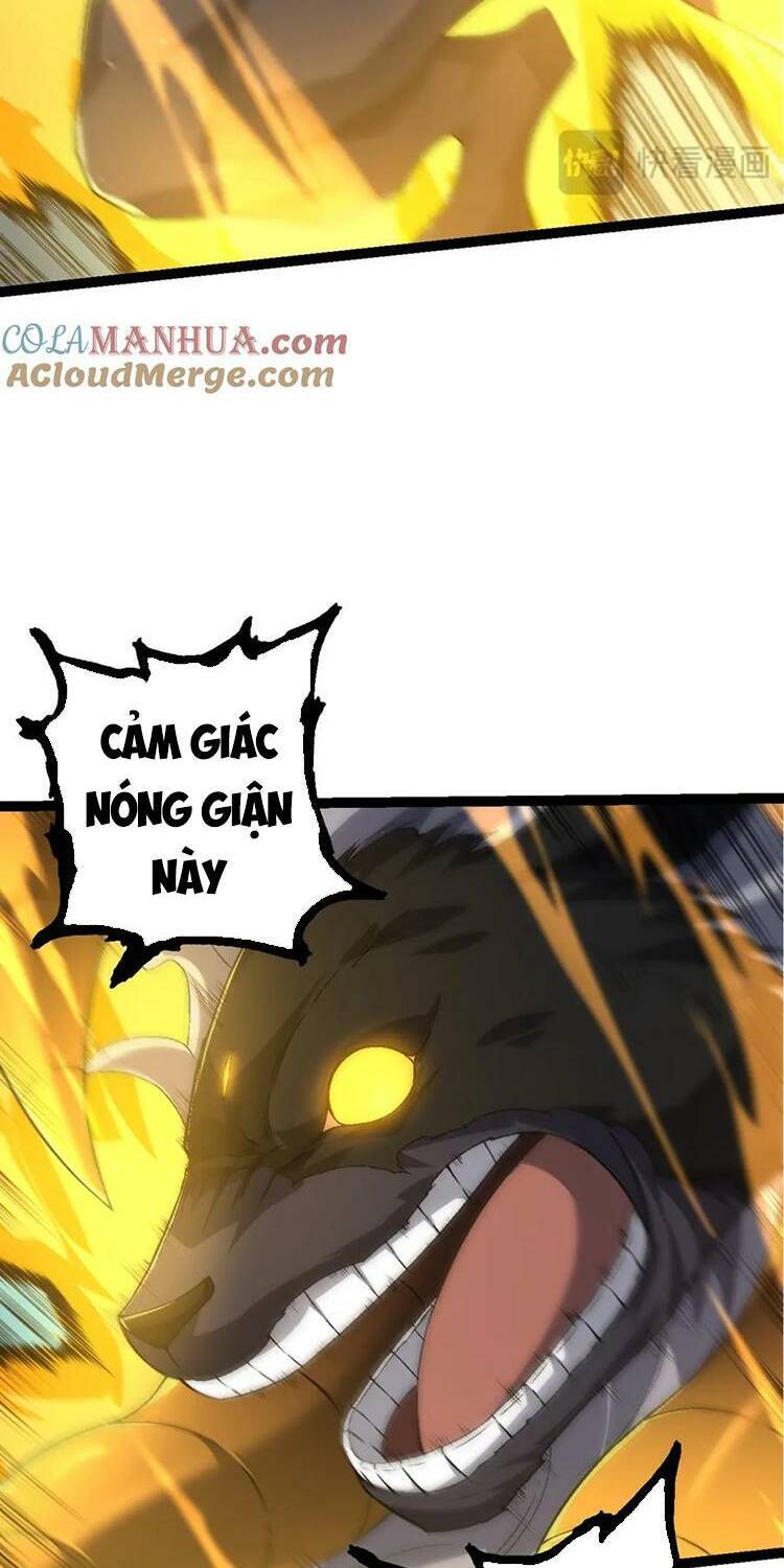 Chương 105