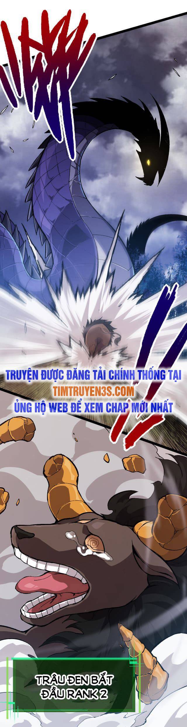 Chương 11