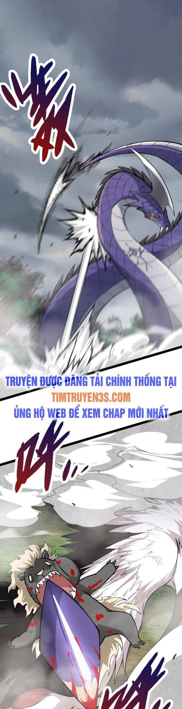 Chương 11