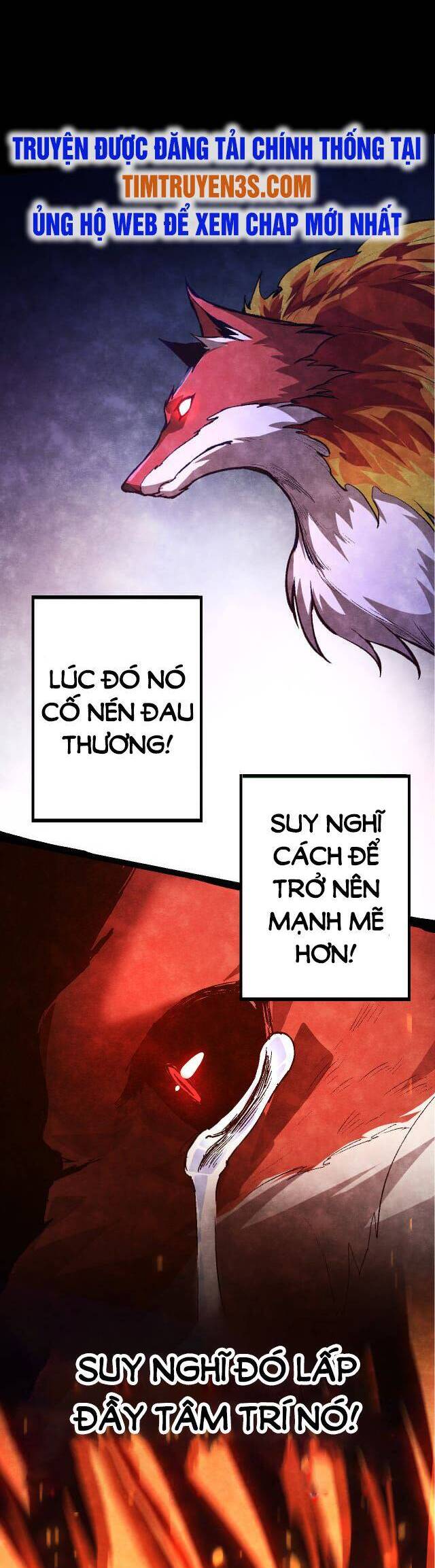 Chương 11