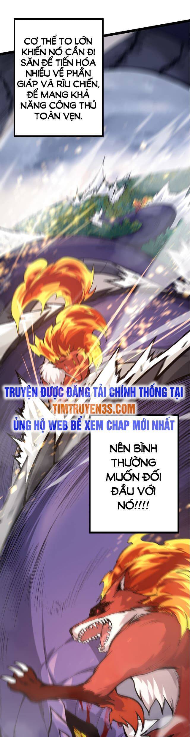 Chương 11