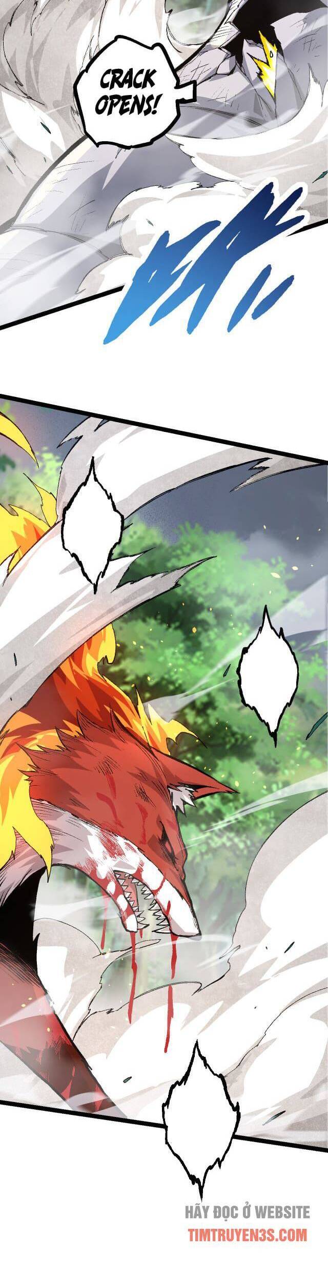 Chương 11