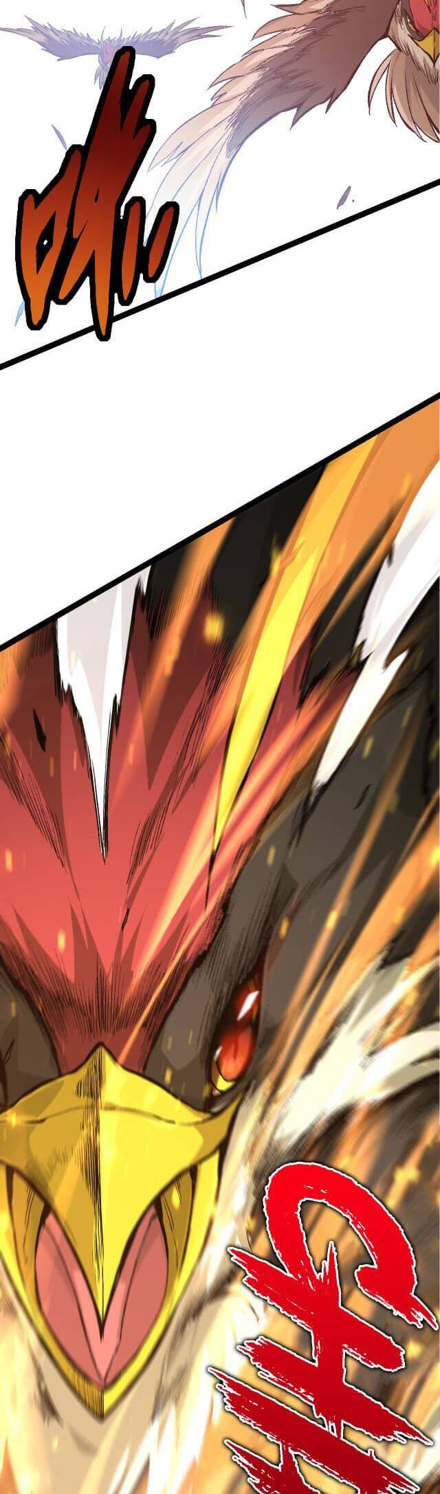 Chương 11