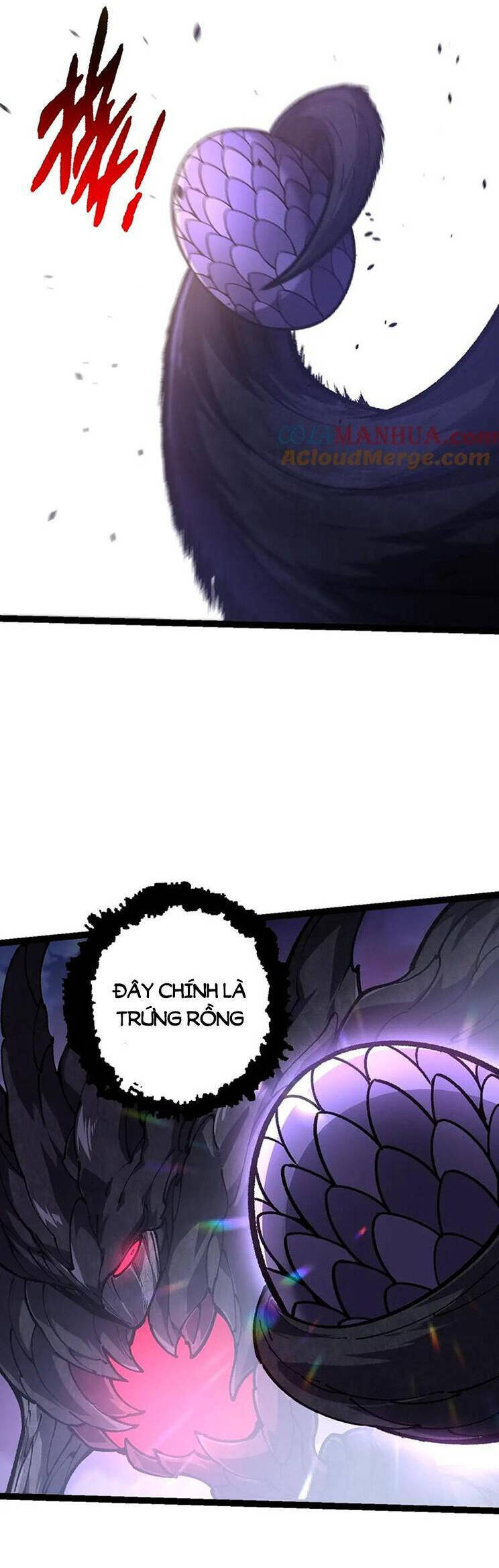 Chương 142