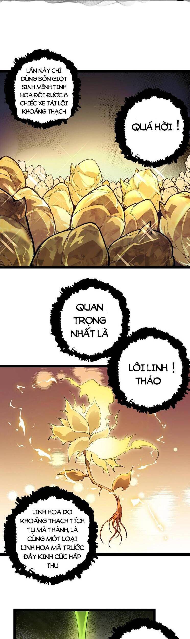 Chương 146