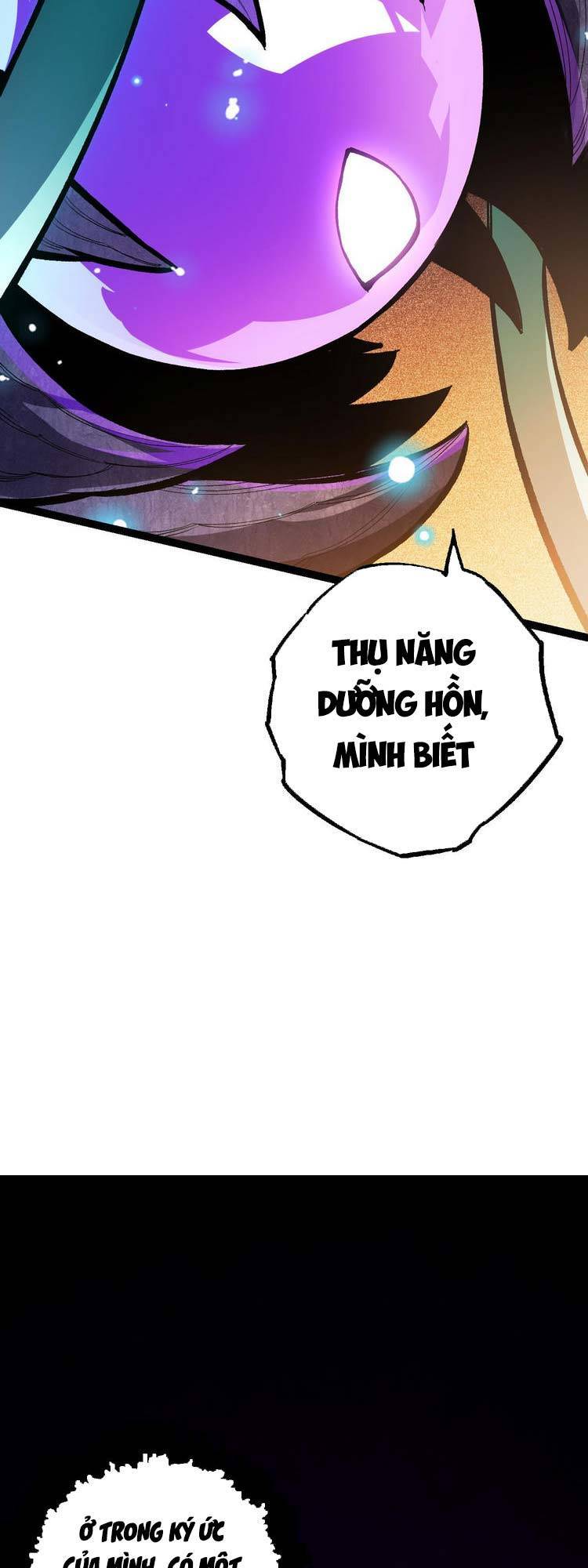 Chương 15