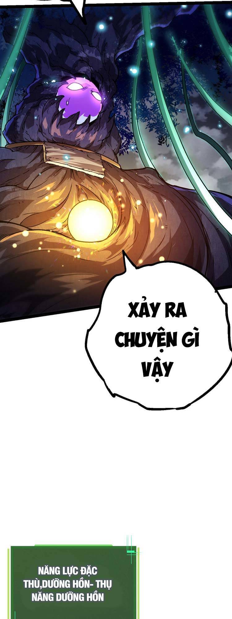 Chương 15