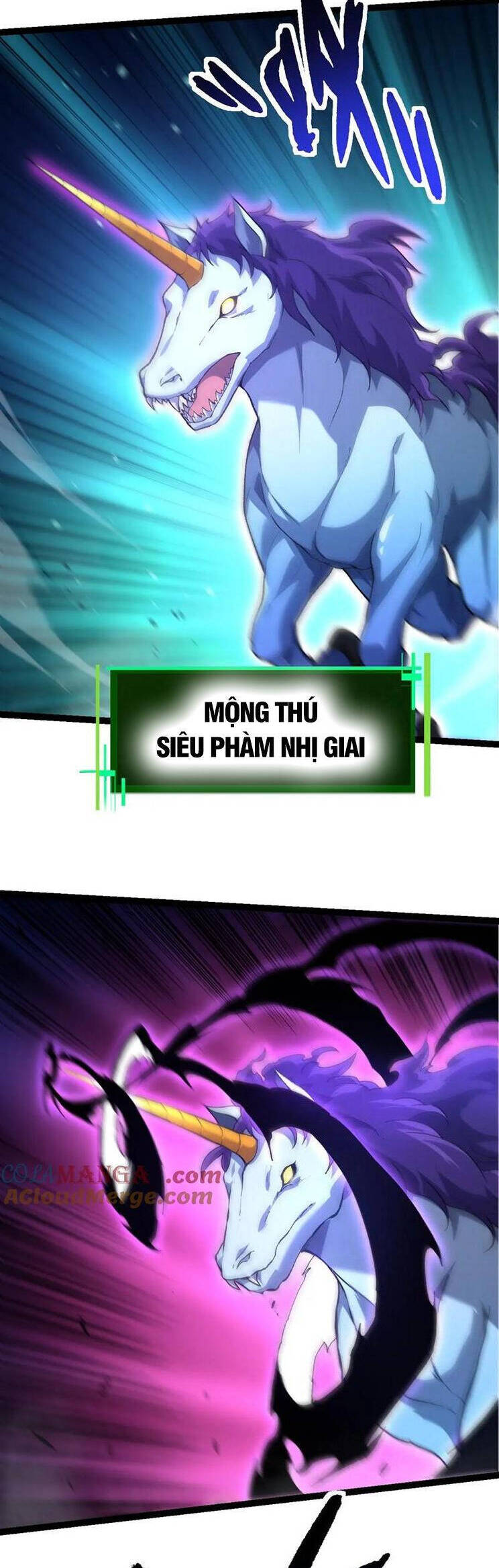 Chương 167