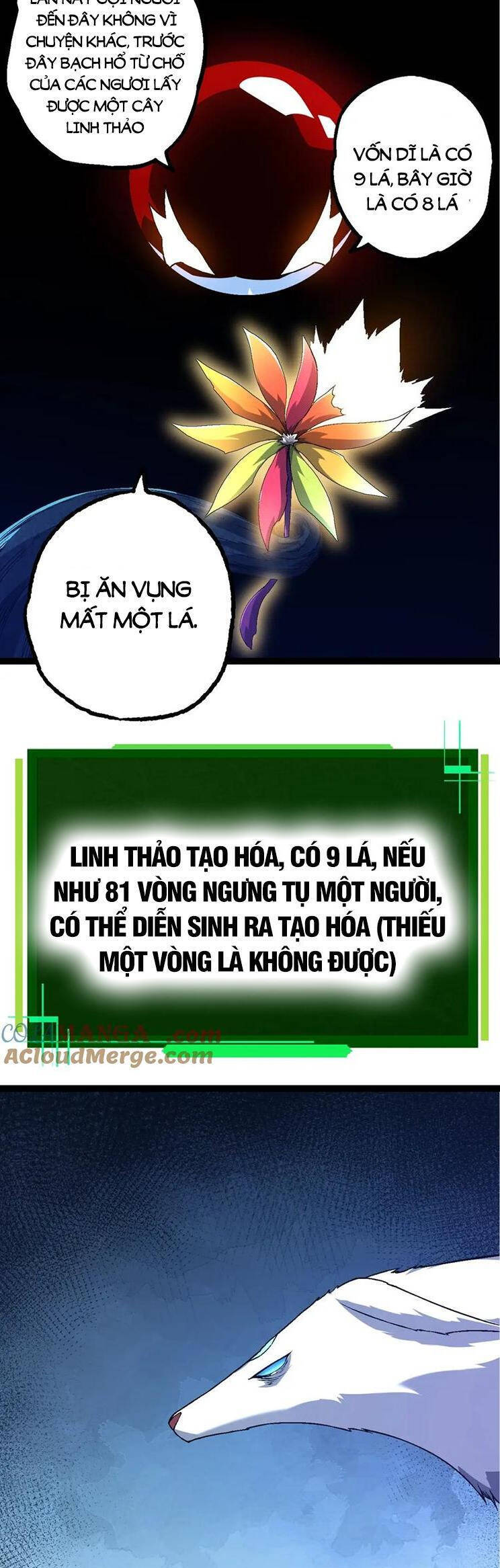 Chương 167