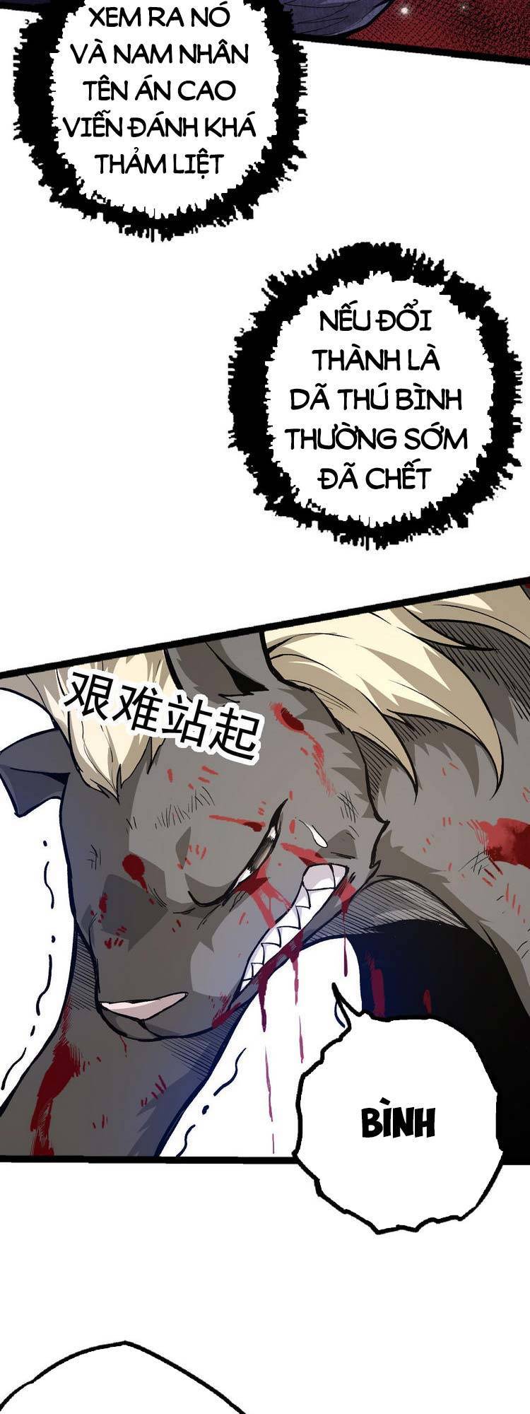 Chương 19