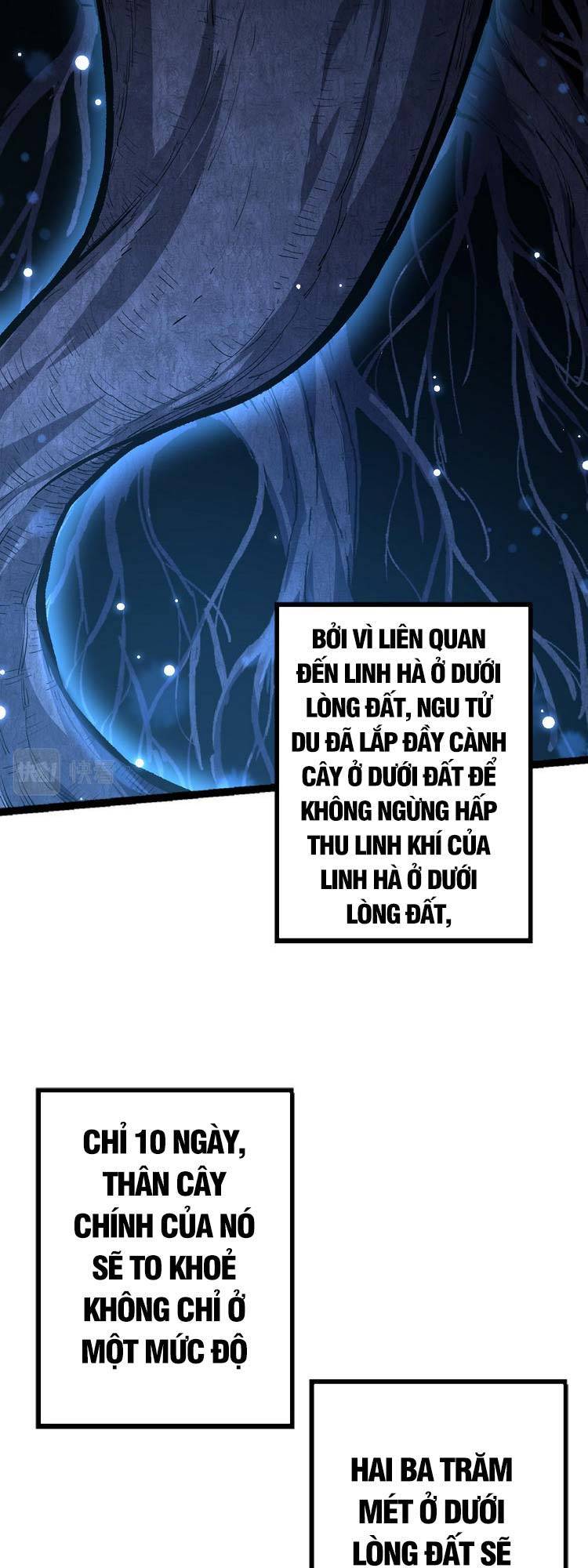 Chương 19
