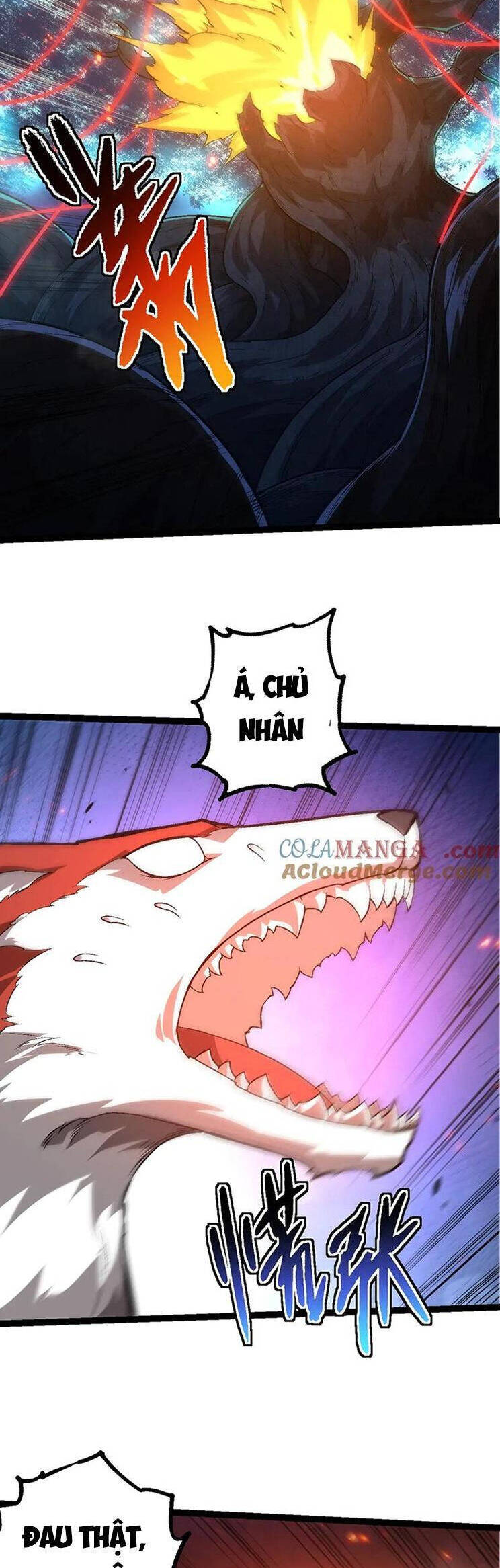 Chương 194