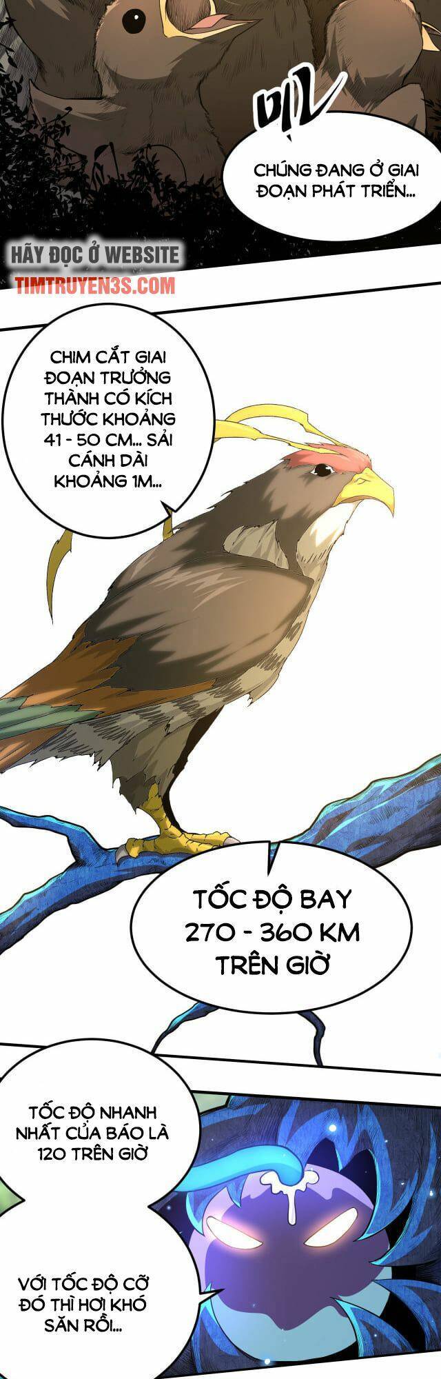 Chương 2