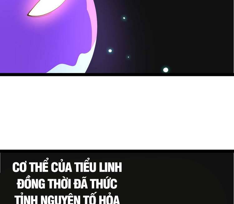 Chương 20
