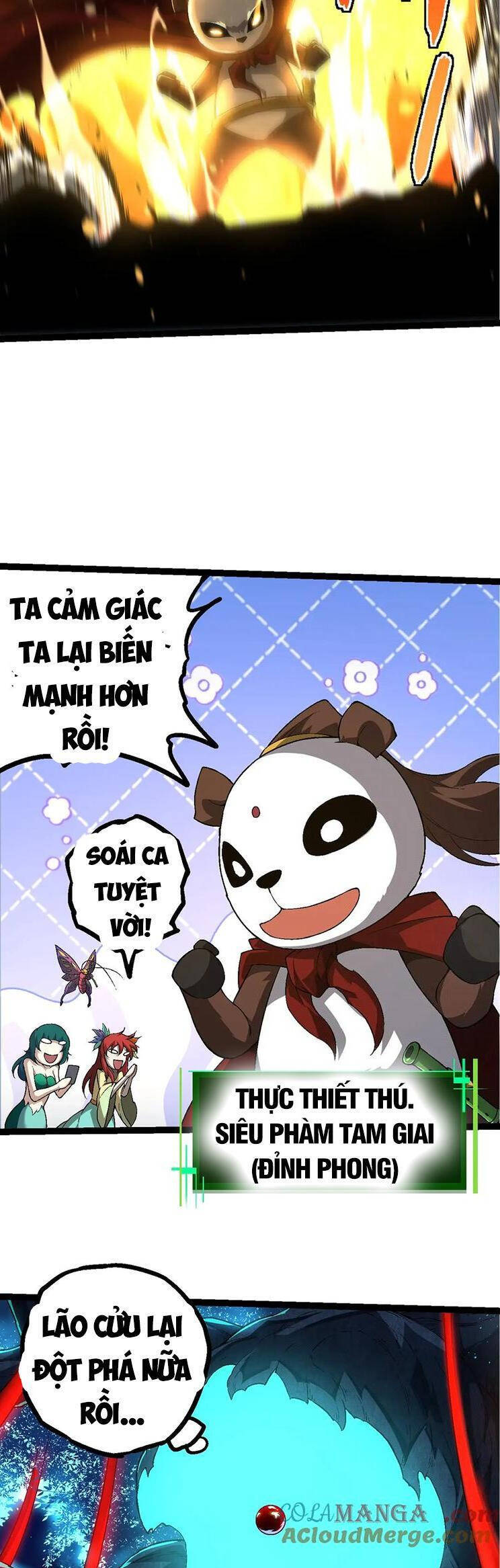 Chương 202