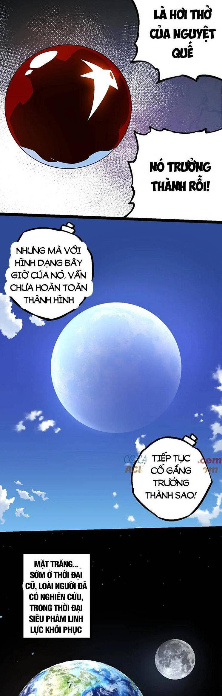 Chương 203