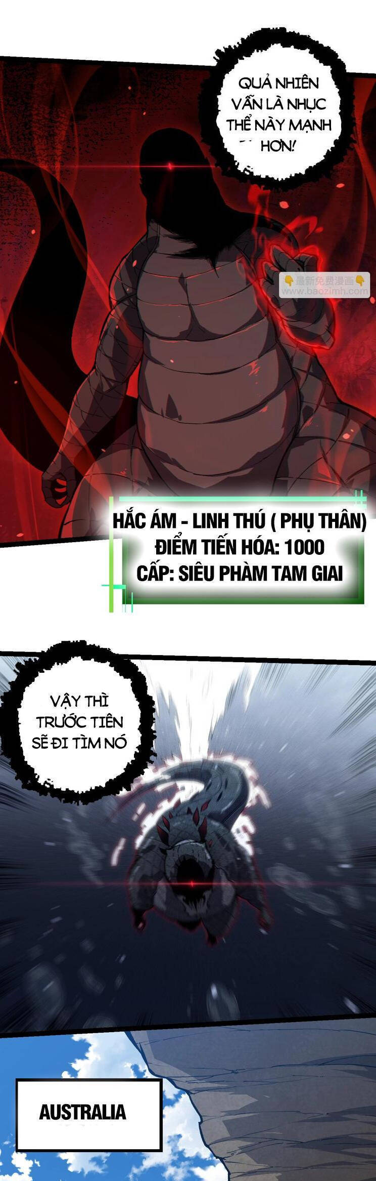 Chương 204