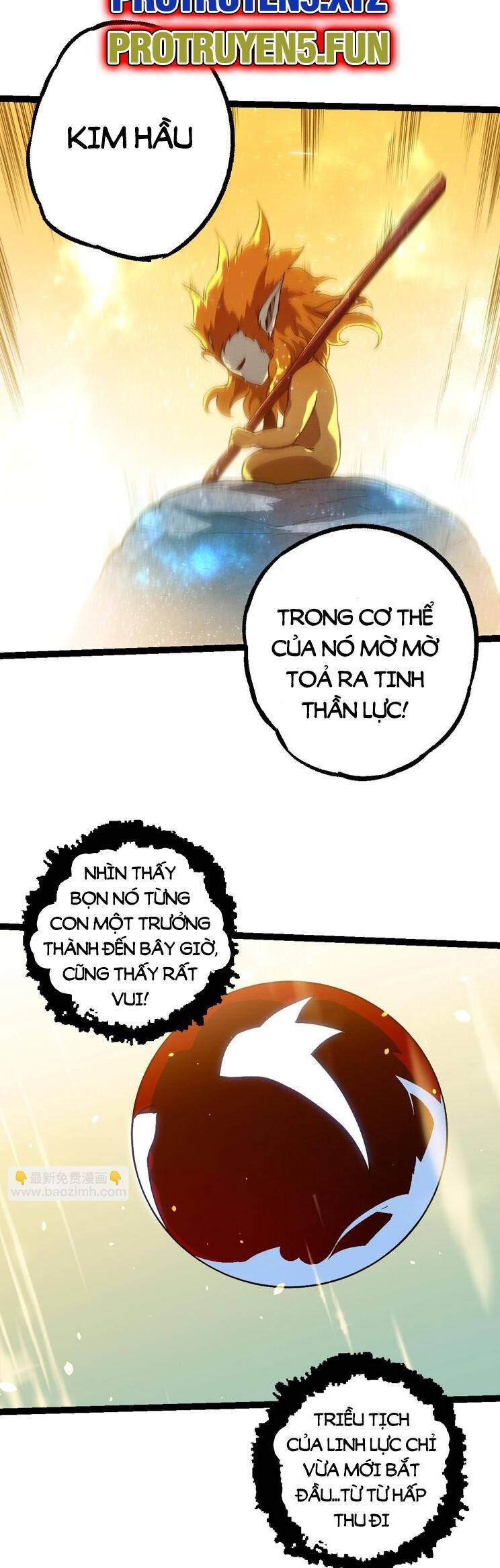 Chương 204