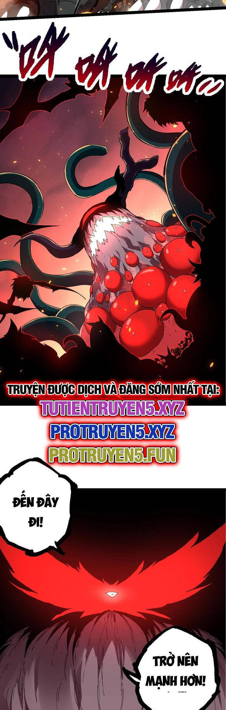 Chương 206