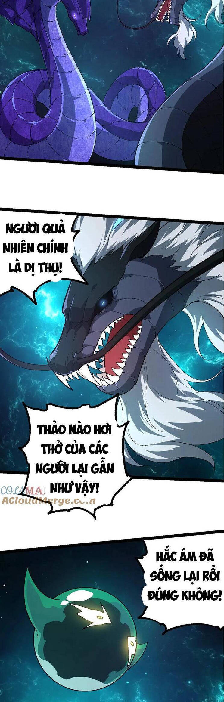 Chương 209