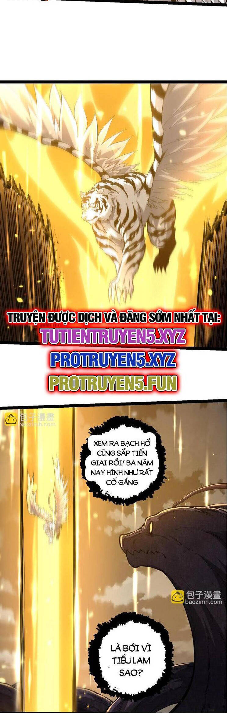 Chương 210
