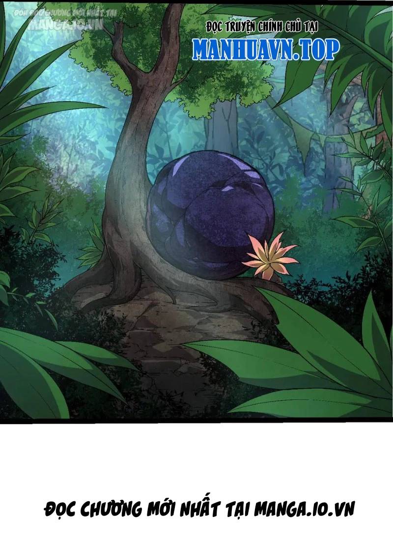 Chương 226