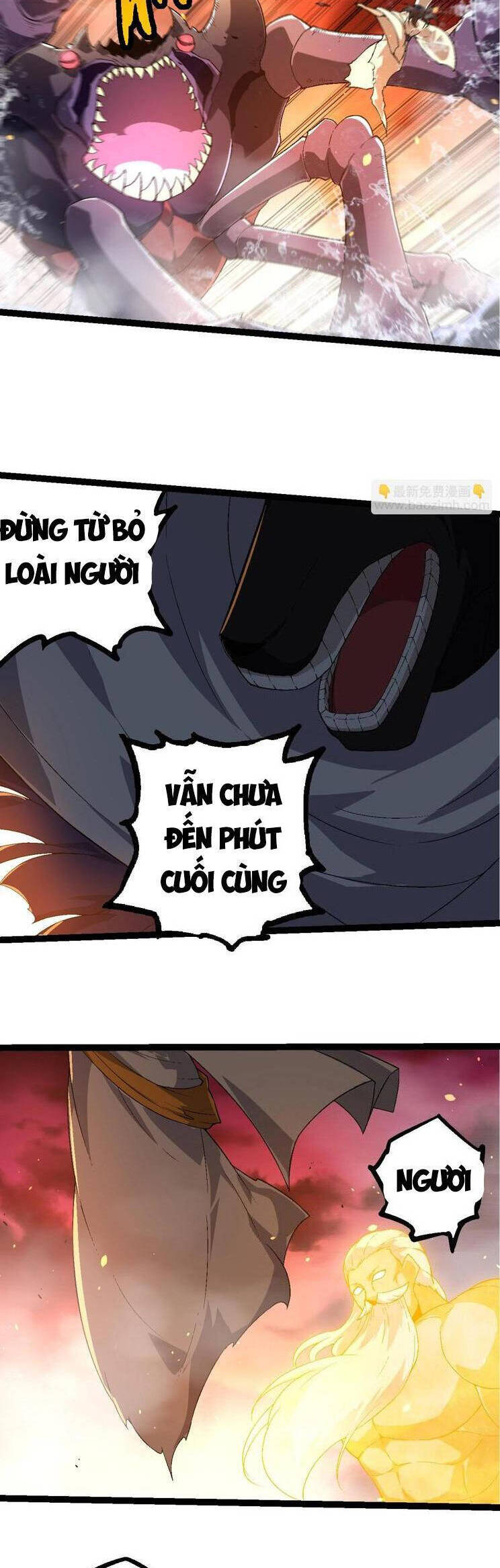 Chương 229