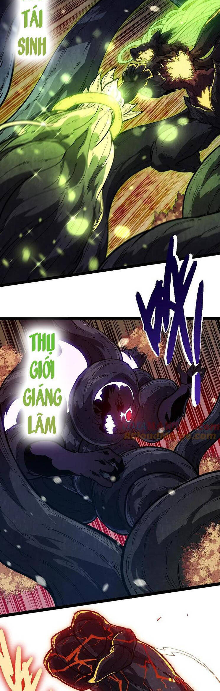 Chương 233