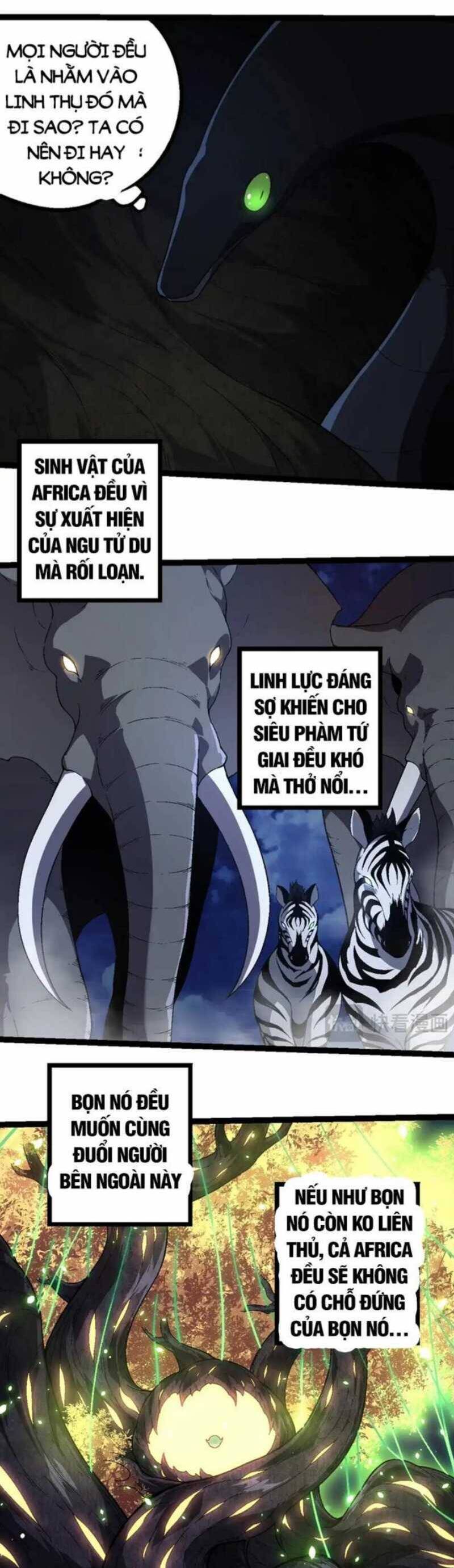 Chương 246