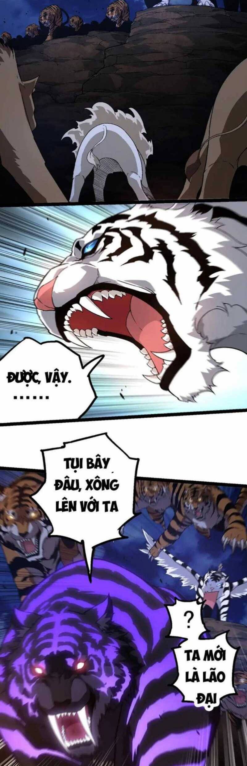 Chương 246