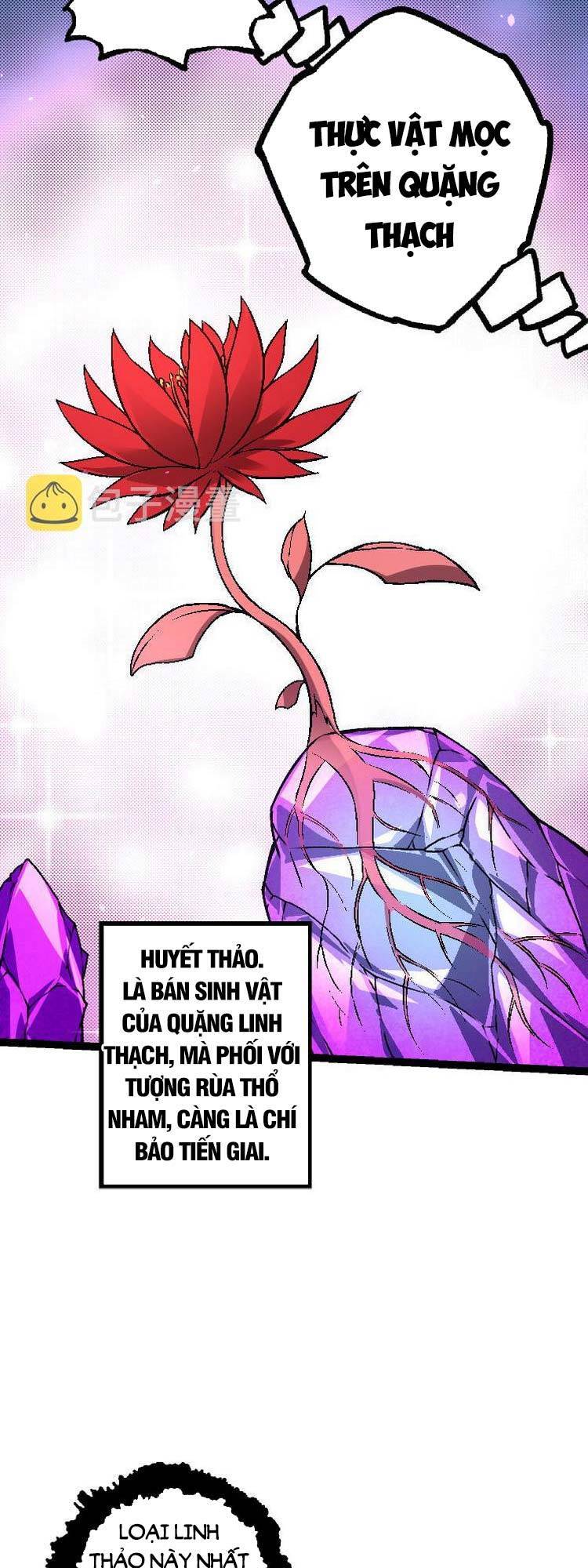 Chương 25