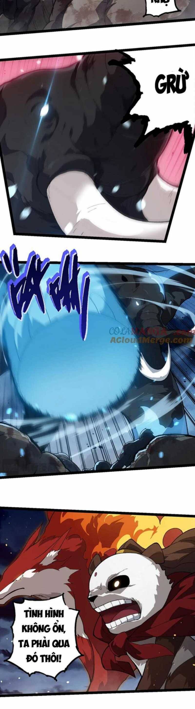Chương 247