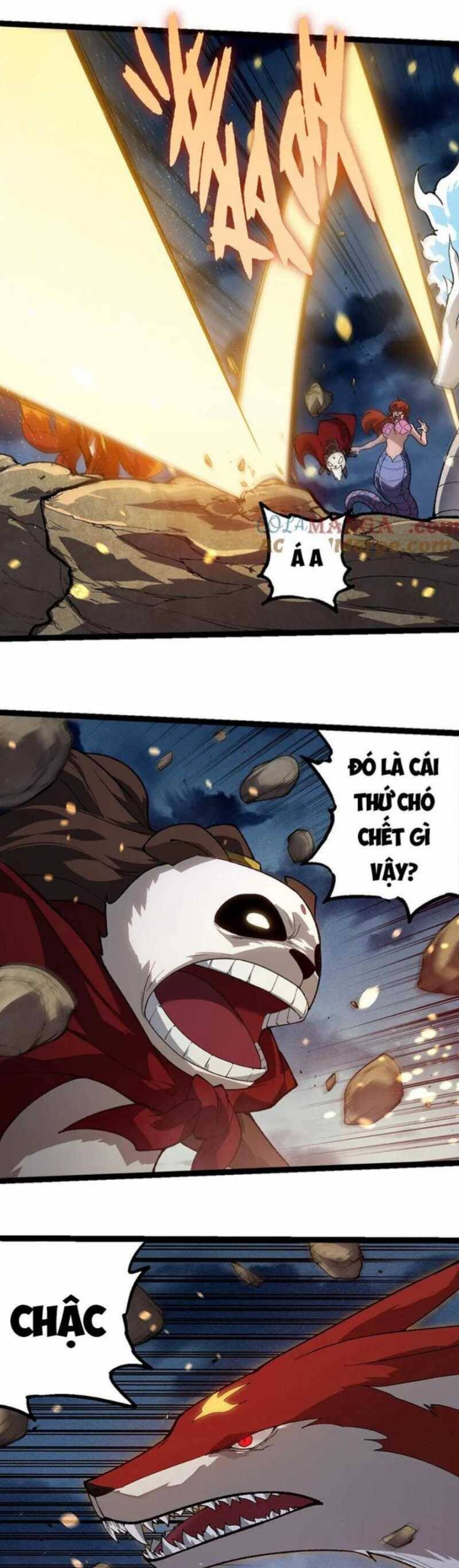 Chương 247