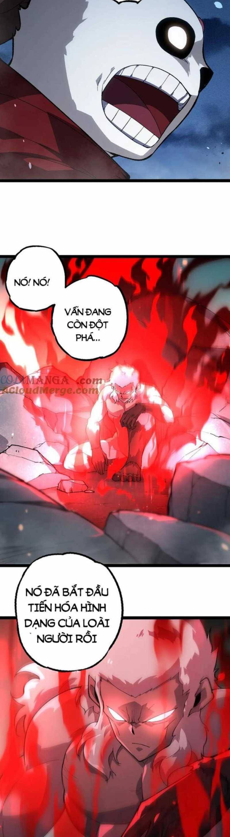 Chương 247