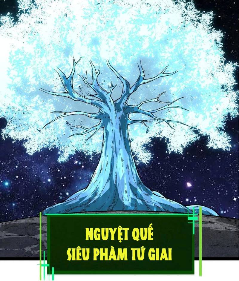 Chương 251