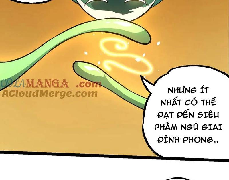 Chương 255