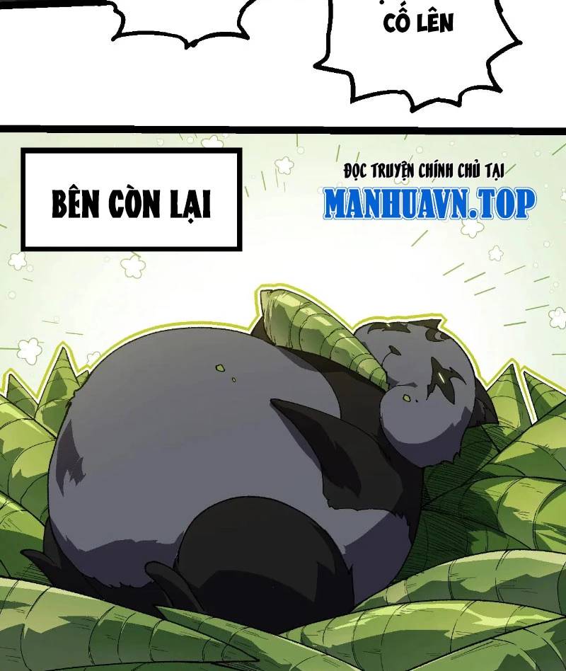 Chương 260