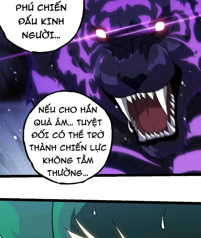 Chương 260